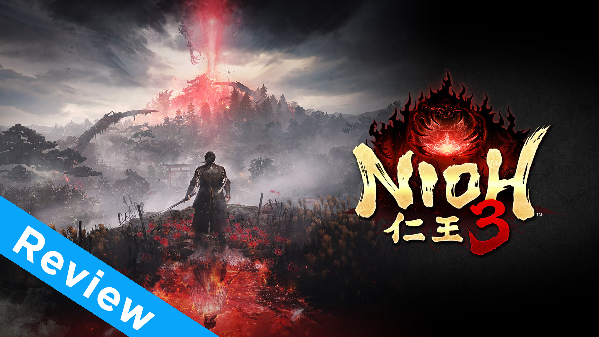 Niohthreereviewheader